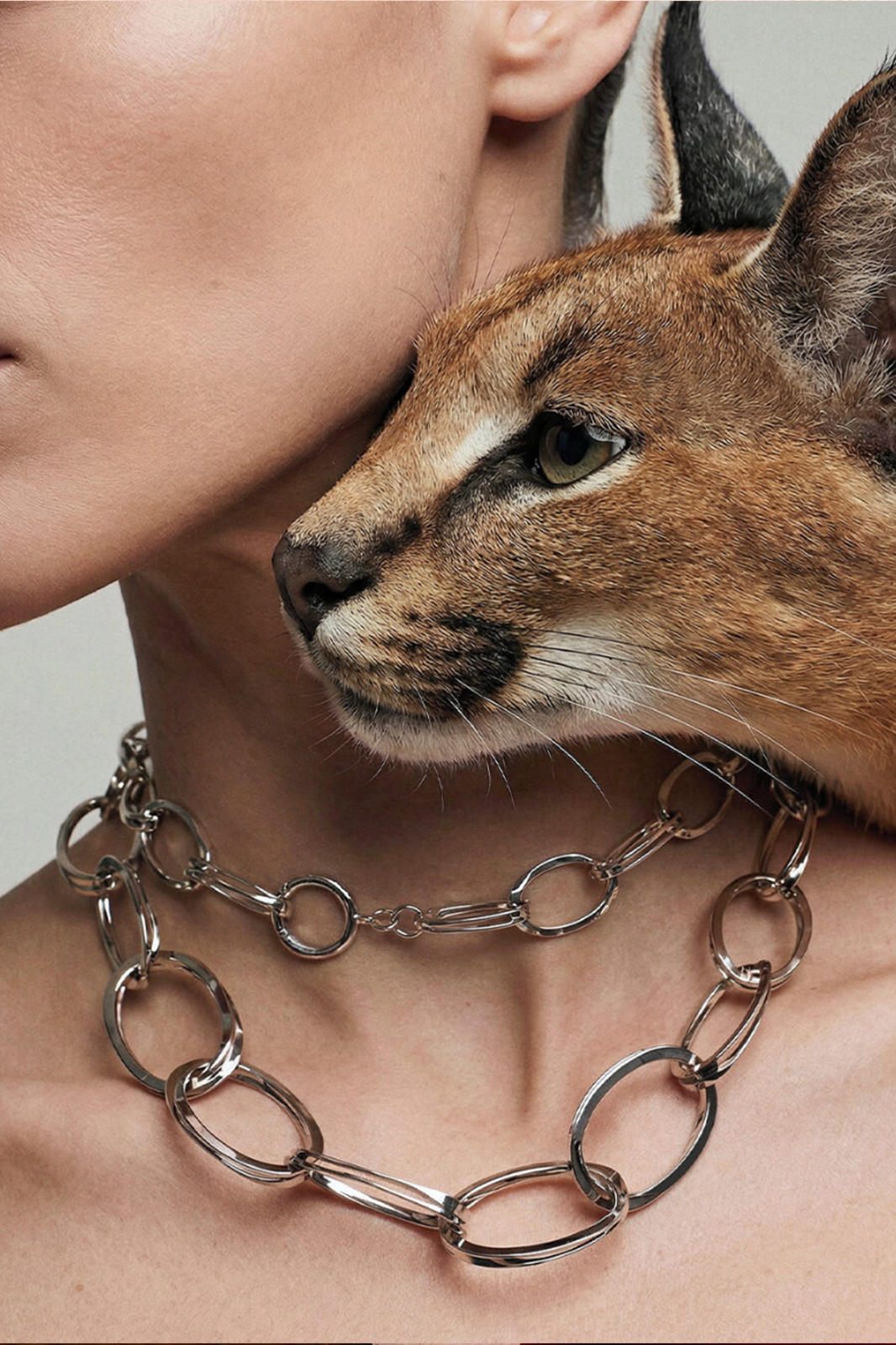 Featured_Images_Merkenpagina_Frame_2026-pia-lynx-scripta